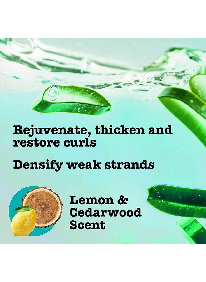 MAUI MOISTURE Maui Moisture Thicken & Restore + Bamboo Fibers Strengthening Shampoo to Soften Transitioning or Natural Hair & Renew Brittle Hair, Vegan, Silicone, Paraben-Free 385 ml  - Image 4