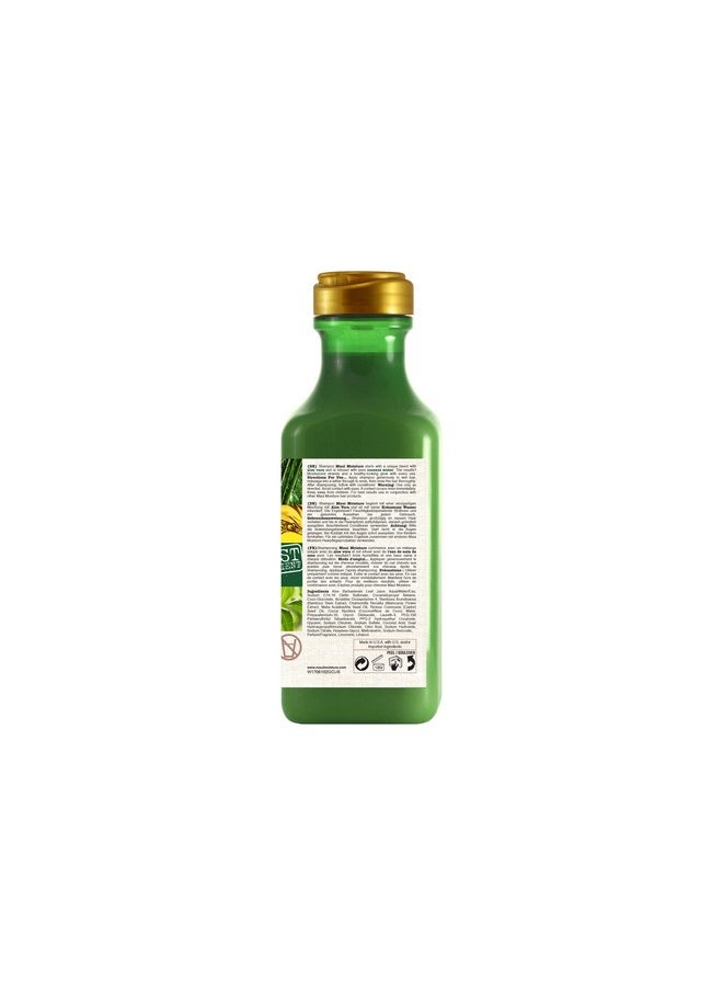 MAUI MOISTURE Maui Moisture Thicken & Restore + Bamboo Fibers Strengthening Shampoo to Soften Transitioning or Natural Hair & Renew Brittle Hair, Vegan, Silicone, Paraben-Free 385 ml  - Image 2