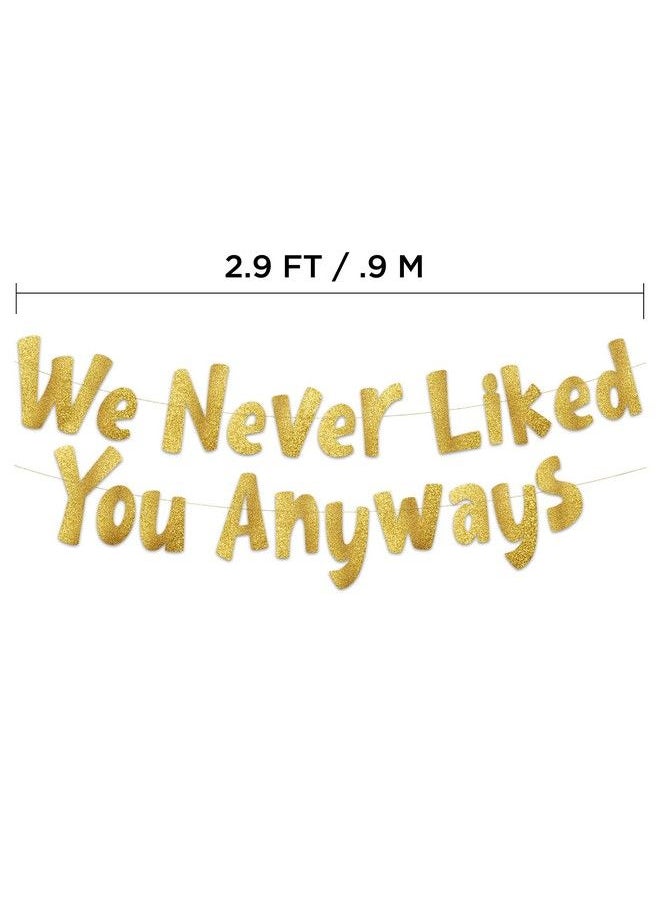 Sterling James Co. - We Never Liked You Anyways Going Away Party Gold Glitter Banner Funny Farewell Party Decorations We Will Miss You Retirement Party New Job Change Moving Party Supplies Ideas And Gifts - Image 1