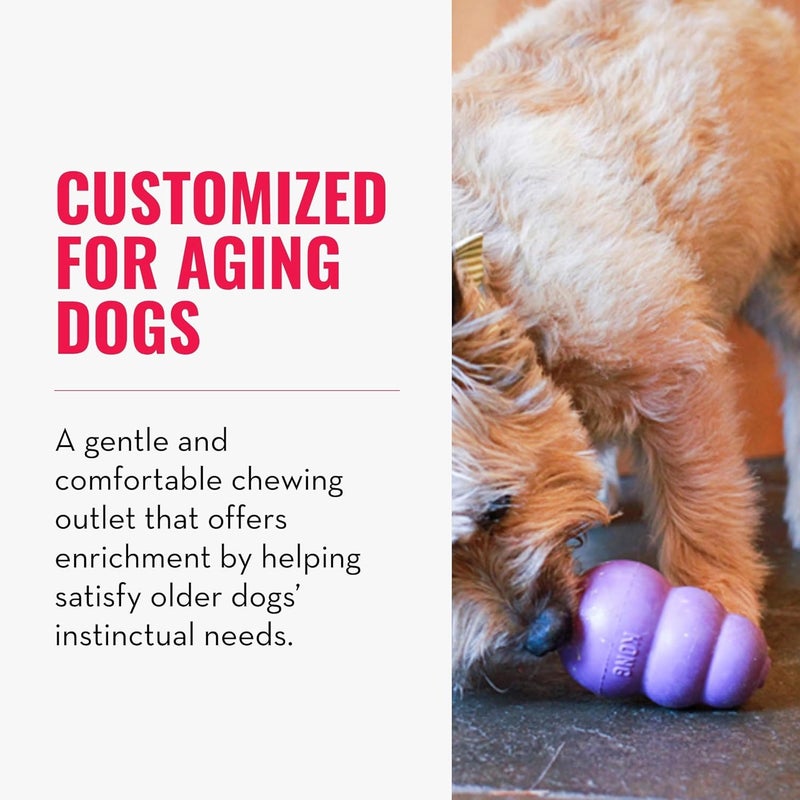 KONG Senior - Dog Toy with Gentle, Natural Rubber - Durable Dog Toy for Older Dogs - Use Treats with Stuffable Chew Toy - Treat Toy for Chewing & Fetching - for Small Dogs (Pack of 2) - Image 2