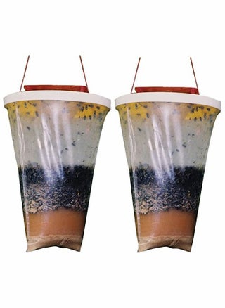 Fly Catcher, 2 Pack FlyTrap Outdoor Hanging Disposable Ranch Fly Trap Catcher Bag with Fly Bait, Fly Killer Repellent for Outdoor Garden, Farm, Horse Barn - pzsku/Z075DB869AED746C34CB1Z/45/_/1662645230/d1a6b657-693f-4482-bbdb-b4dd89a0e87e