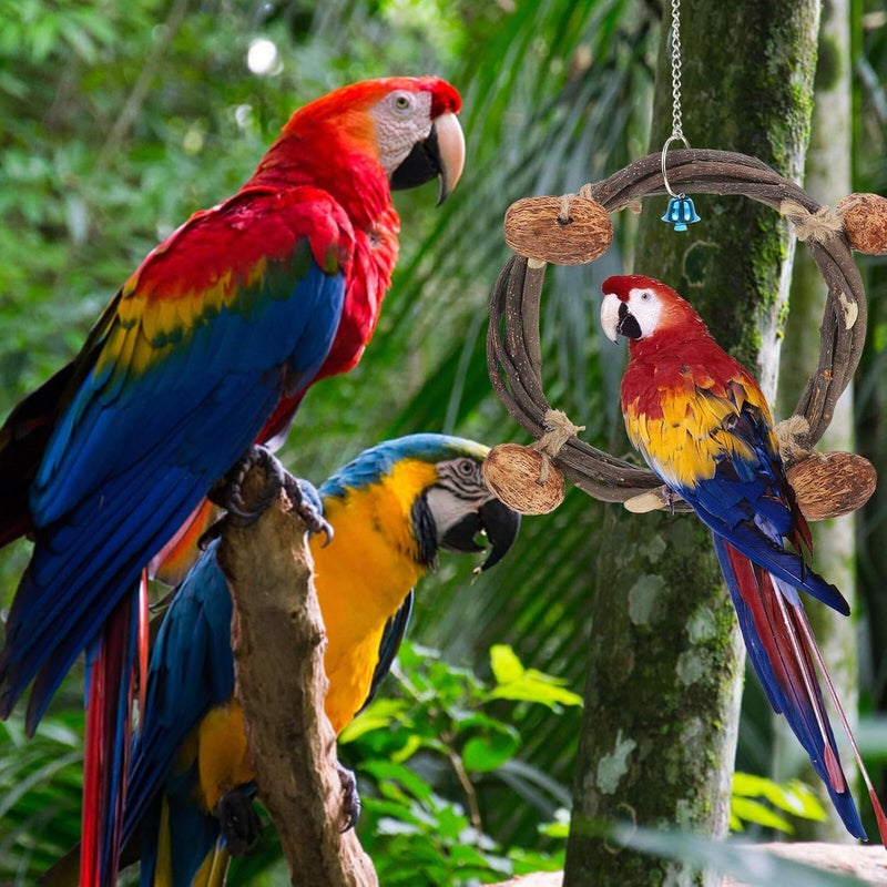 HANABASS Parrot Swing and Hanging Bird Hammock with Bell, 20cm Rattan Climbing Perch for Parakeets and Small Birds, Includes 4 Nut Accessories, Decorative Cage for Summer and Autumn Use - Image 4