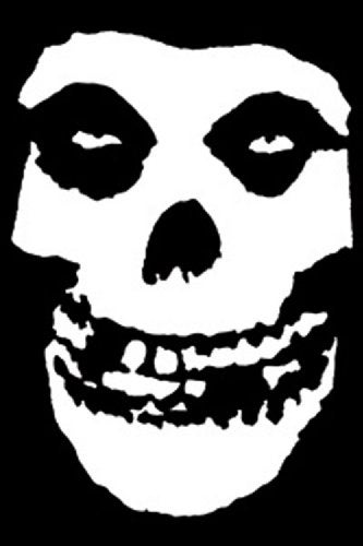 C&D Visionary Licenses Products The Misfits Skull Magnet - Image 1