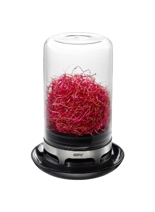 غيفو بيفيتا وعاء تنبيت البذور مع قاعدة جيدة التهوية، باللون الشفاف والبني 18910 - Image 1