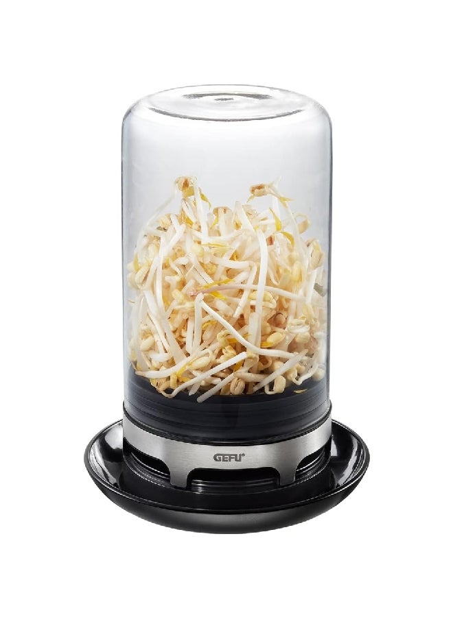 غيفو بيفيتا وعاء تنبيت البذور مع قاعدة جيدة التهوية، باللون الشفاف والبني 18910 - Image 5