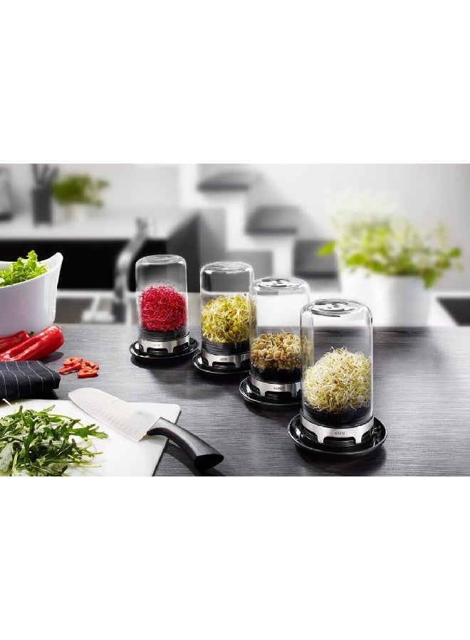 غيفو بيفيتا وعاء تنبيت البذور مع قاعدة جيدة التهوية، باللون الشفاف والبني 18910 - Image 2