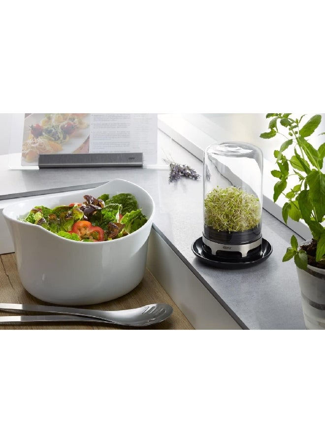 غيفو بيفيتا وعاء تنبيت البذور مع قاعدة جيدة التهوية، باللون الشفاف والبني 18910 - Image 3