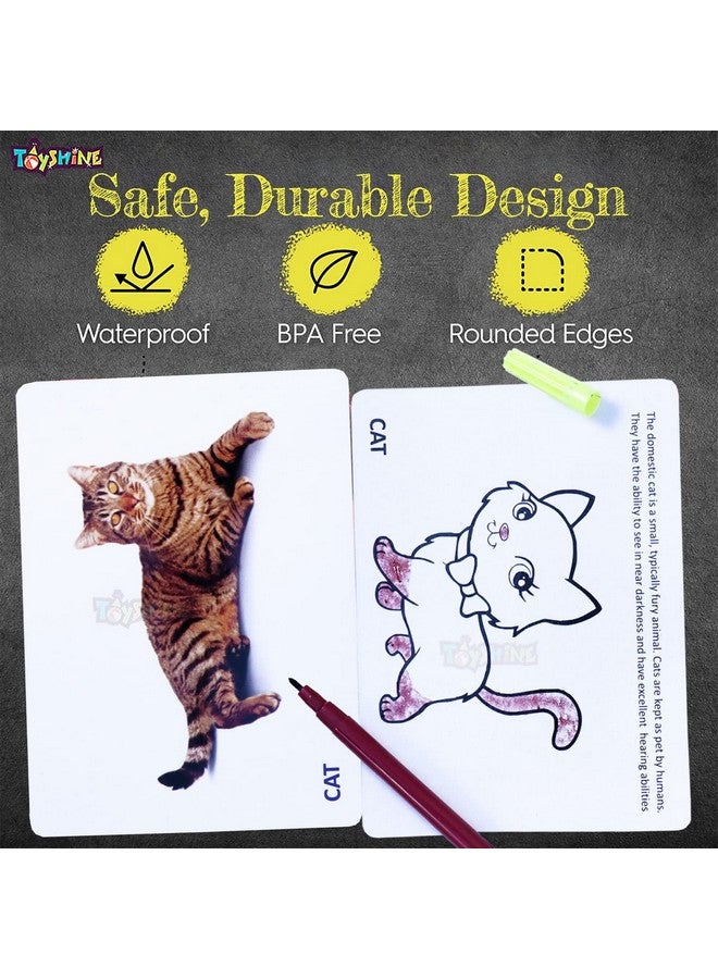 Toyshine Toyshine Wipe and Clean Educational Flash Cards for Kids - Animals Learing Game for Boys Girls 2 3 4 5 Year Old  - Image 3