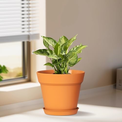 WSMKSZ 4 Inch Plastic Plant Pots with Drainage Holes and Trays 8 Pack Small Nursery Pots for Indoor Outdoor House Plants and Flowers Seedling Starter Planters Terracotta - Image 3