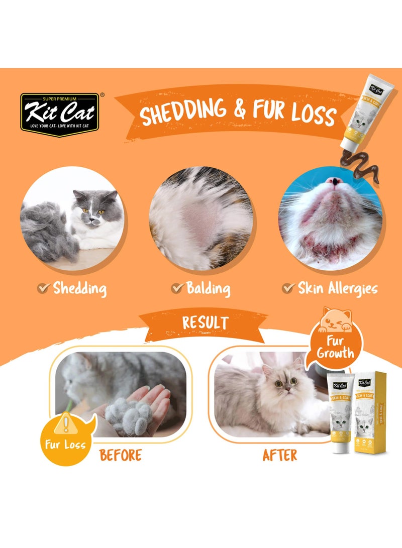 كيت كات فيتامينات قطط معجون يومي لدعم الجلد والفراء للقطط البالغة والقطط الصغيرة - 120 جرام - يعالج الحساسية ويمنح الفرو لمعانًا صحيًا - Image 2