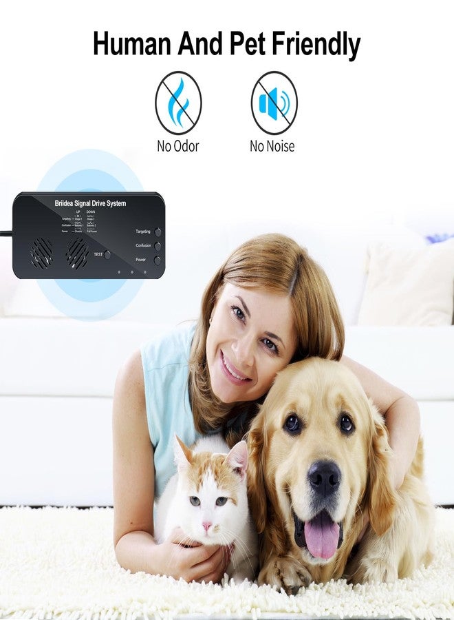 briidea Signal Drive System, High-Efficiency Two-Stage Signals, Safe for Humans and Pets 2 Pack - Image 4