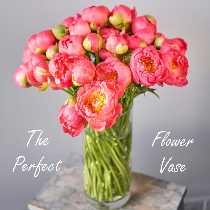 CYS EXCEL Clear Glass Cylinder Vase (H:12" D:4") | Multiple Size Choices Glass Flower Vase Centerpieces | Hurricane Floating Candle Holder - Image 2