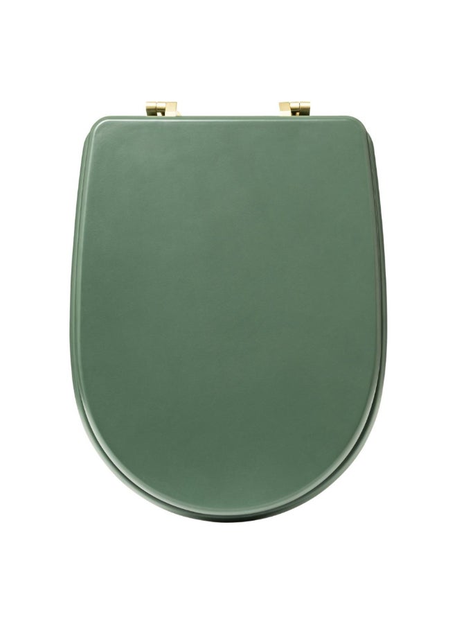 Five Simply Smart Duo Elegant Wooden Toilet Seat Ficus Green and Gold 4.5 x 36 x 49 cm 200165B - Image 1