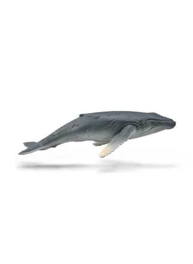CollectA Humback Whale Calf