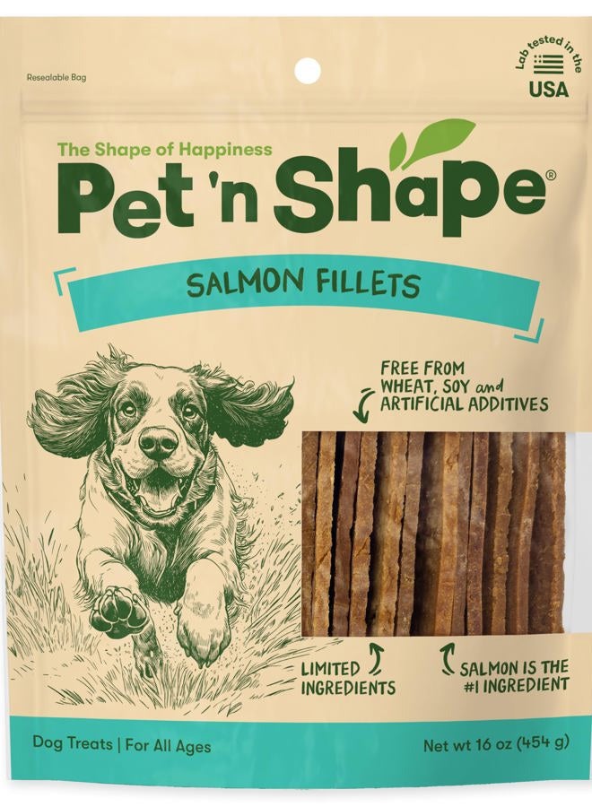 Pet 'n Shape Salmon Fillets, 16 oz - Healthy, Protein Rich Treats for Dogs - Image 1