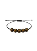 British Fossils Tiger Eye