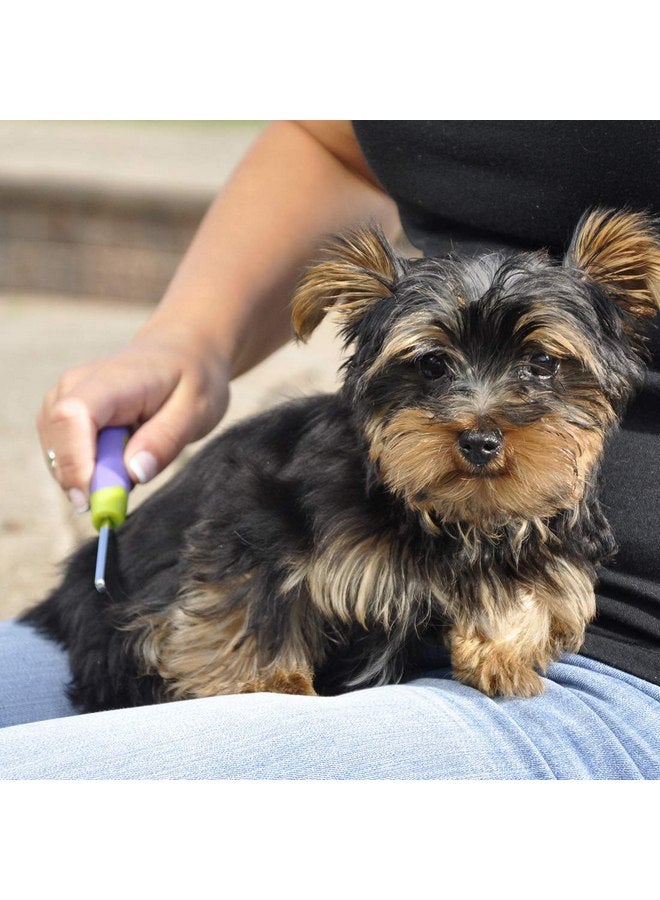 Coastal LilPals Stainless Steel Shedding Dog Comb (1-Pack), green, XS, Model Number: W6201 - Image 2