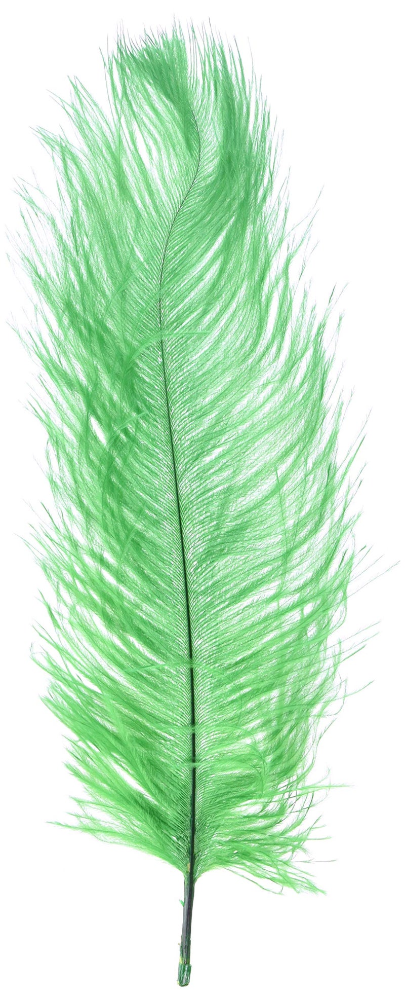 Shekyeon Dark Green 1012inch 2530cm Ostrich Feather Home Decoration DIY Craft Pack of 10