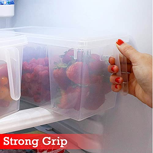 Kitchen ware Kitchenware Plastic Square Handle Fridge Food Storage Organizer with Lid and 3 Smaller Bins - Clear - Image 3