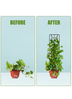 Generic 2 PCS Plant Trellis, Metal Garden Trellis Plant Supports Indoor for Pots, Metal Supports for Rose Vines, Climbing Plants, Flower, Outdoor Patio Lawn Yard Decoration 36x10cm  - Image 5