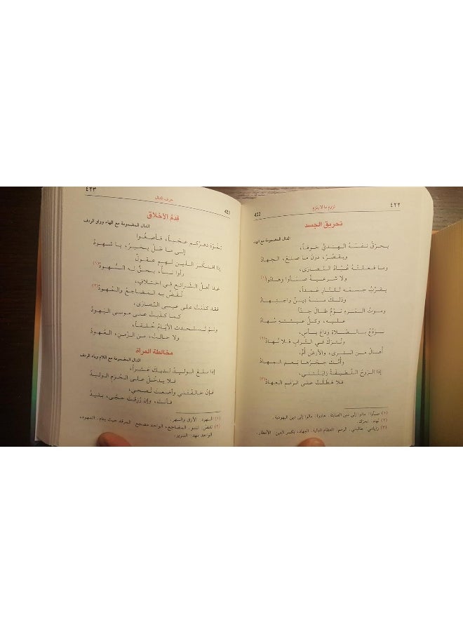 Al Maktaba AL Asriya اللزوميات لزوم مايلزم/ 2 مجلد - alluzumiat lizawm maylzim  - Image 5