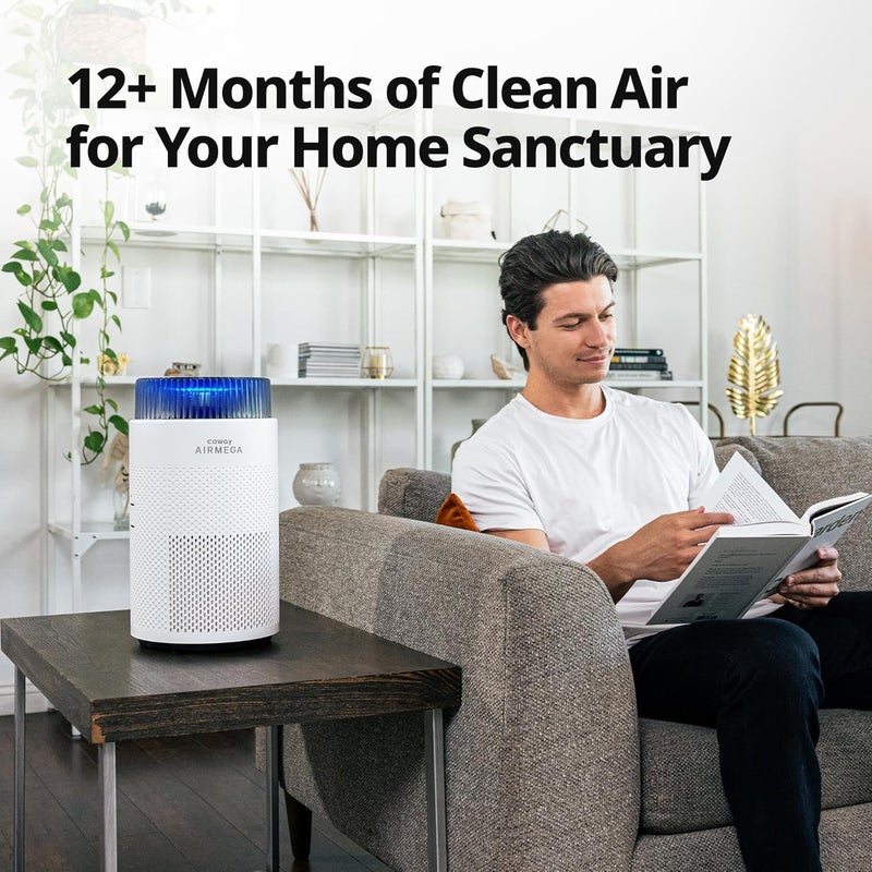 Coway Airmega 100 Air Purifier Replacement Filter Set, True HEPA and Deodorization Filte - Image 5
