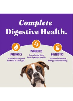 Purely For Pets Holistic Dog Food, Complete Digestive Health Cage-Free Chicken And Brown Rice Recipe, Dry Dog Food Bag, Puppy Formula, 3.5-Lb Bag - pzsku/Z077134187E4E38524128Z/45/_/1735214634/9272a1c9-d681-42cd-a395-a284b6ffcf3a