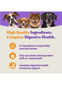 Purely For Pets Holistic Dog Food, Complete Digestive Health Cage-Free Chicken And Brown Rice Recipe, Dry Dog Food Bag, Puppy Formula, 3.5-Lb Bag - pzsku/Z077134187E4E38524128Z/45/_/1735214642/6591f8b1-ac62-4c62-a756-6c6b29bd5f69