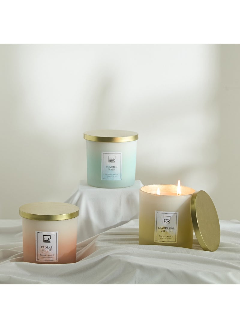 Home Box Garden Sparkling Citrus Wax Filled Candle with Metal Lid 370 g - Image 4