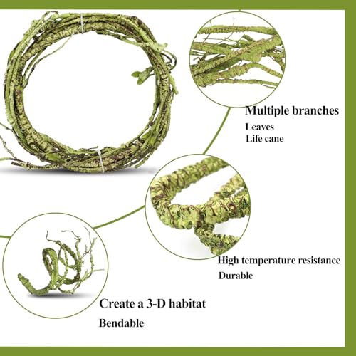 HERCOCCI Reptile Vines, Flexible Jungle Climbing Vines Terrarium Plastic Plants and Leaves Tank Accessories Decor for Gecko Snake Lizard Bearded Dragon Hermit Crab Frog - Image 3