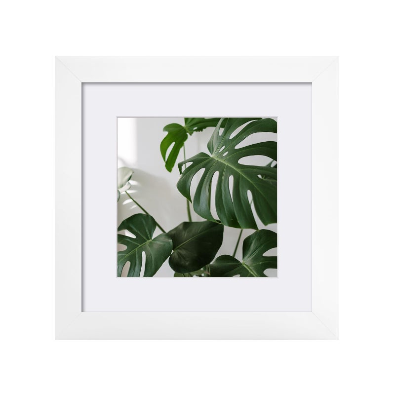 Egofine Egofine 6x6 Picture Frames Made of Solid Wood Covered by Plexiglass Display 4x4 with Mat or 6x6 without Mat  for Table Top Display and Wall Mounting Photo Frame  White 