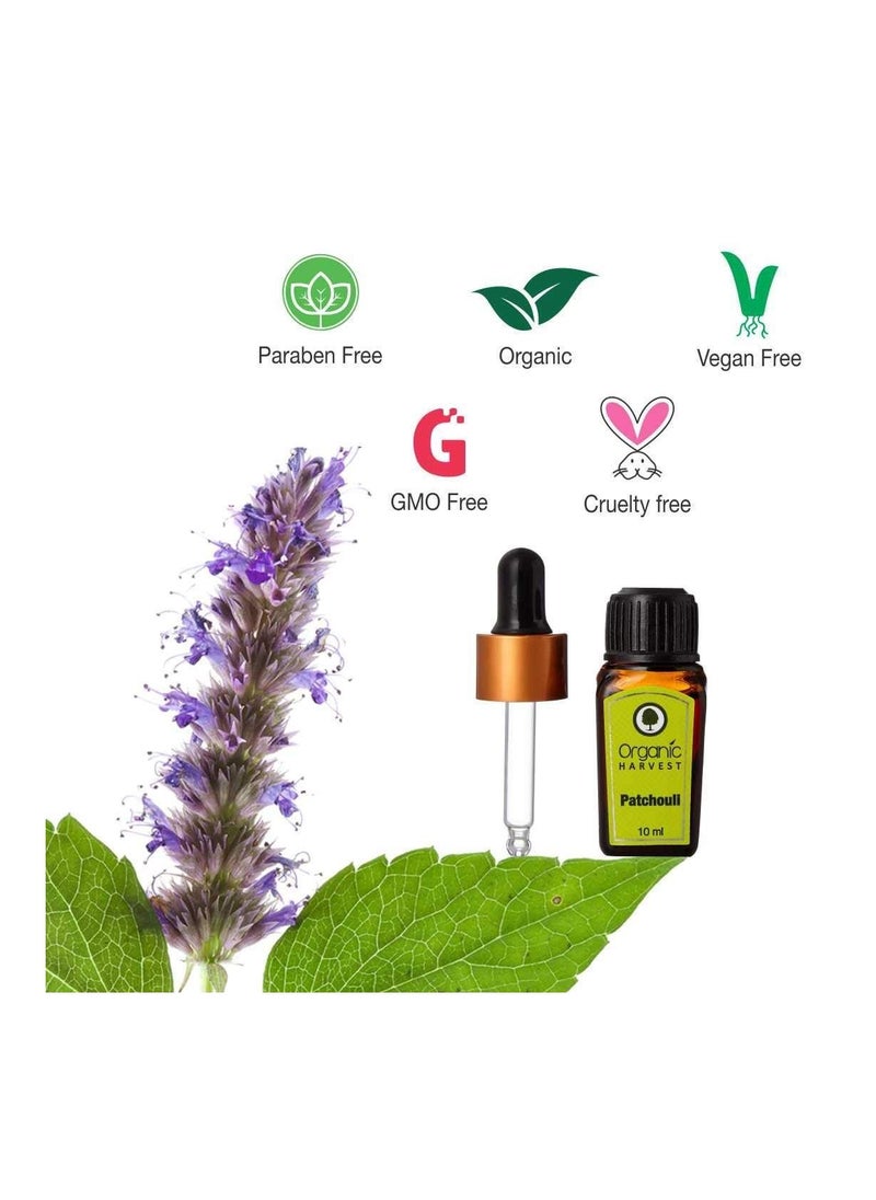 Patchouli Essential Oil Promotes Healthy Skin Hair Growth Pure & Undiluted Therapeutic Grade Oil Excellent For Aromatherapy 100% Organic Paraben & Sulphate Free 10ml - pzsku/Z077369C639C87B3FDEB8Z/45/_/1675843373/aced804b-2af9-4327-a5b2-439f3ffb9b61