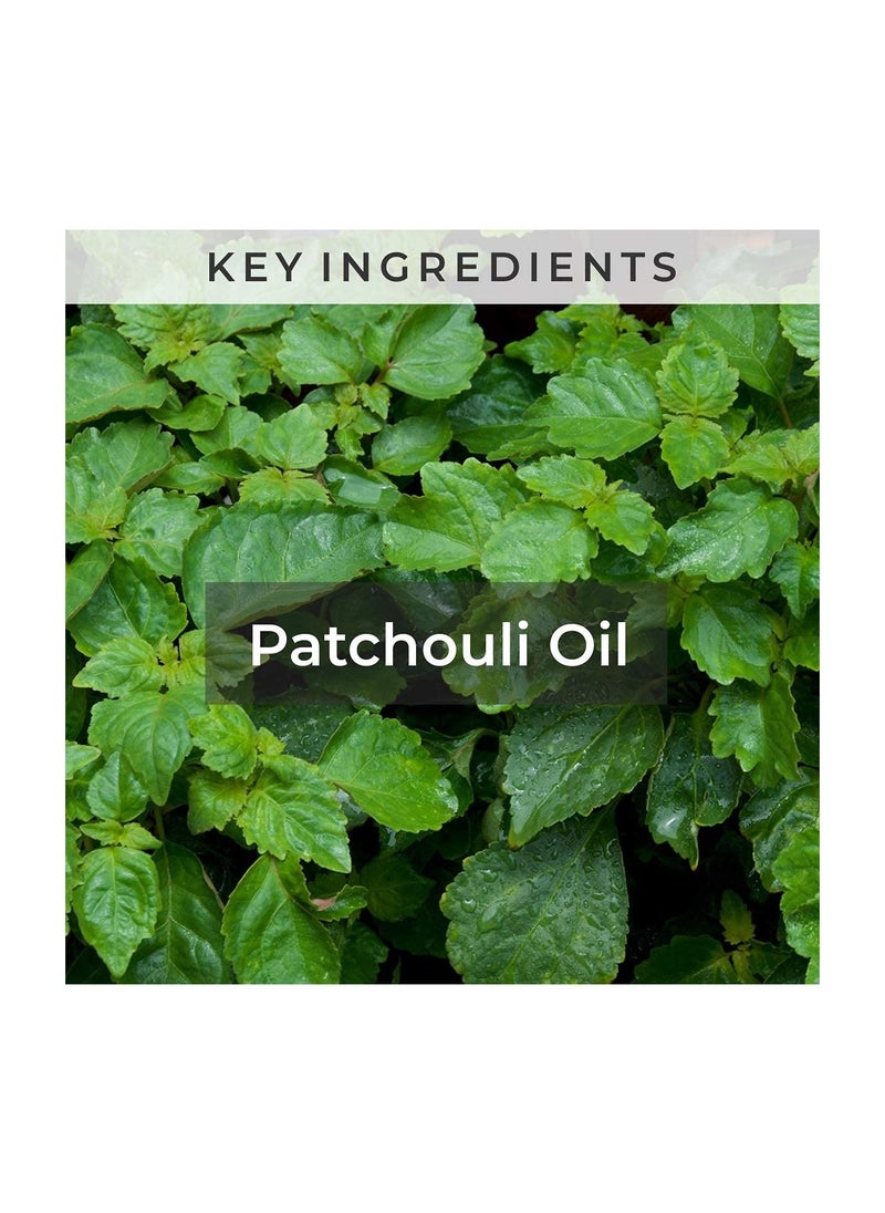 Patchouli Essential Oil Promotes Healthy Skin Hair Growth Pure & Undiluted Therapeutic Grade Oil Excellent For Aromatherapy 100% Organic Paraben & Sulphate Free 10ml - pzsku/Z077369C639C87B3FDEB8Z/45/_/1675843373/f5012ba8-84a2-4d79-b930-488ad09dc8f5