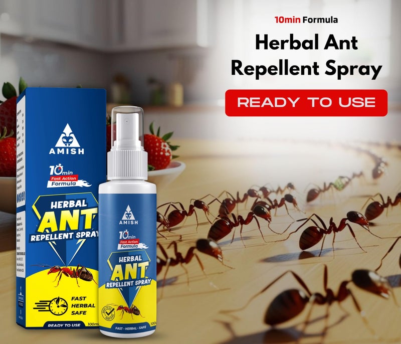 Amish Herbal Ant Spray 100ml Pack-2 |10 Minutes Formula |Removes Entire Ant colony|Powerful 100% Organic No Chemical Ant Repellent Spray for Home Kitchen Office Garden Long Lasting Protection - Image 2