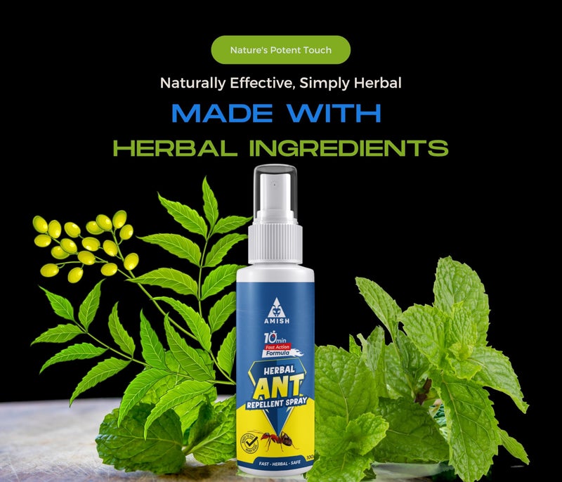 Amish Herbal Ant Spray 100ml Pack-2 |10 Minutes Formula |Removes Entire Ant colony|Powerful 100% Organic No Chemical Ant Repellent Spray for Home Kitchen Office Garden Long Lasting Protection - Image 3