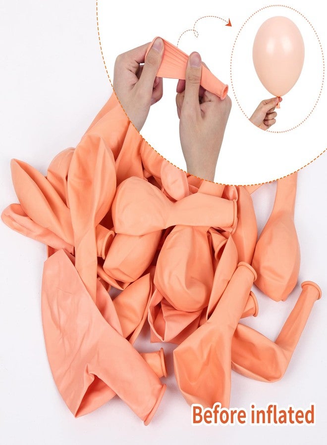 RUBFAC 105pcs Pastel Orange Balloons Peach Balloons Garland Arch Kit Different Sizes 18/12/10/5 Inches, Light Orange Balloons for Baby Shower Birthday Gender Reveal Party Decor - Image 4