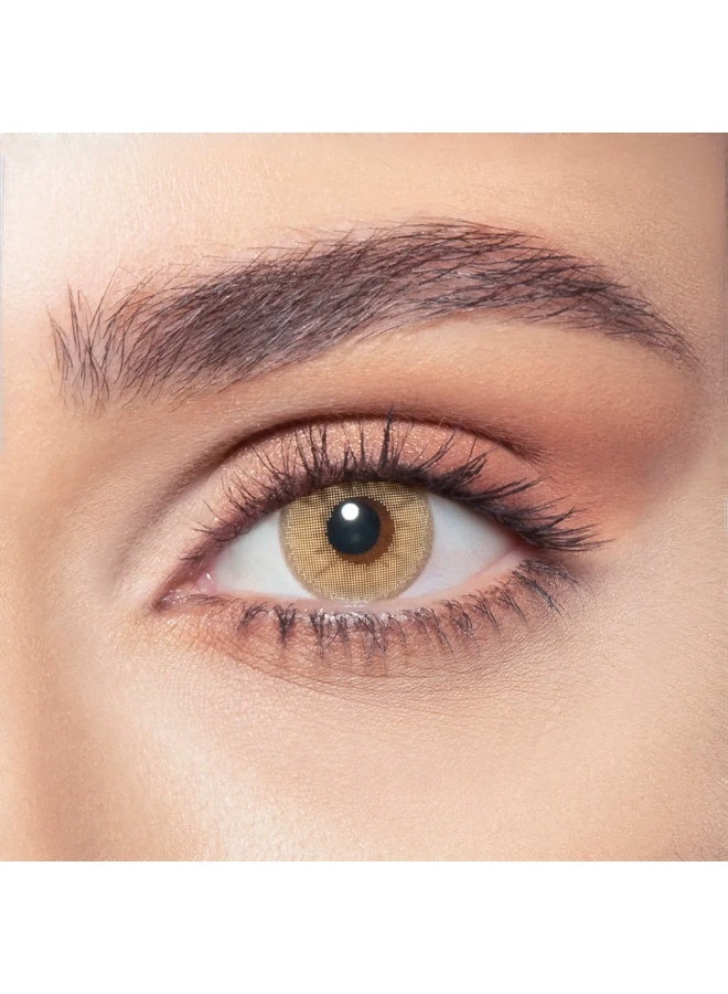 Bella One Day Hazel Beige Pack Of 10 Daily Disposable Colored Contact Lenses Unisex Cosmetic Contact Lenses - Image 1