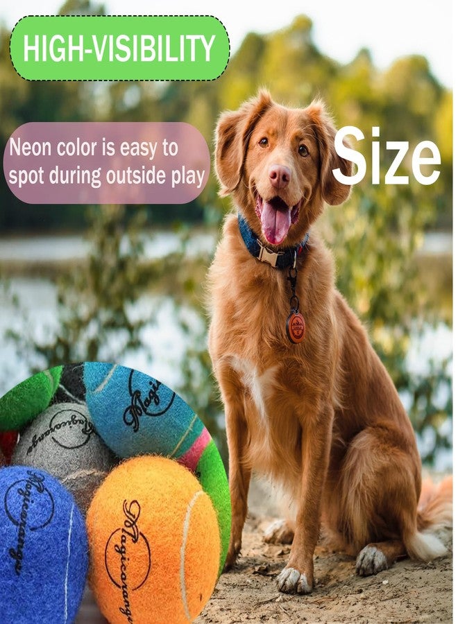 Magicorange كرات تنس ماجيك أورانج للكلاب، عبوة من 12 كرة تنس للكلاب، كرة لعب للكلاب الأليفة تأتي مع حقيبة شبكية لسهولة النقل (12 كرة متنوعة، 2.5 بوصة) - Image 4