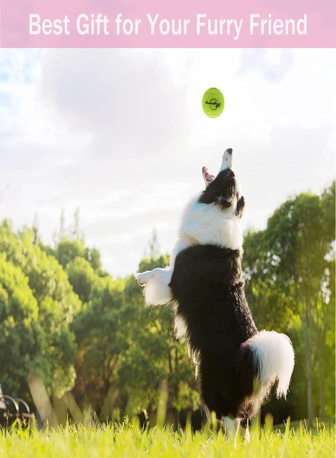 Magicorange كرات تنس ماجيك أورانج للكلاب، عبوة من 12 كرة تنس للكلاب، كرة لعب للكلاب الأليفة تأتي مع حقيبة شبكية لسهولة النقل (12 كرة متنوعة، 2.5 بوصة) - Image 5