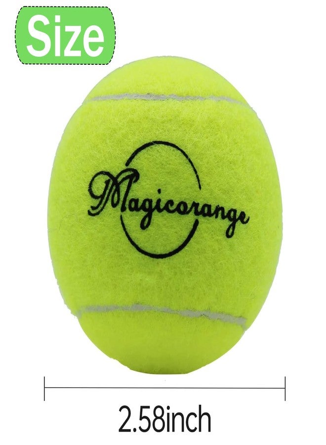 Magicorange كرات تنس ماجيك أورانج للكلاب، عبوة من 12 كرة تنس للكلاب، كرة لعب للكلاب الأليفة تأتي مع حقيبة شبكية لسهولة النقل (12 كرة متنوعة، 2.5 بوصة) - Image 2