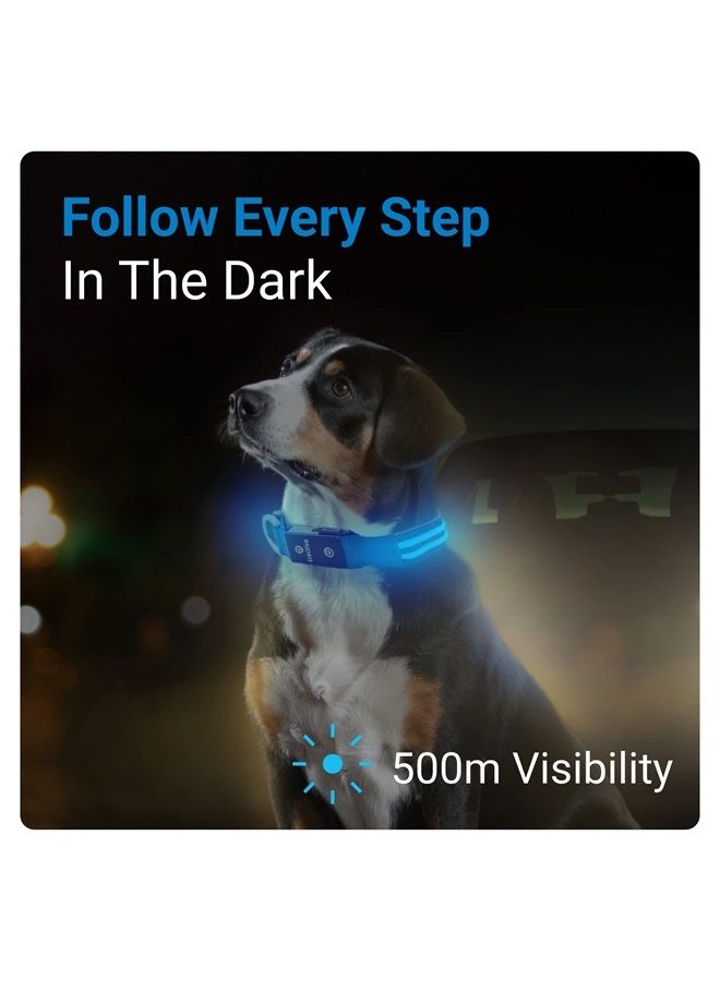 Tractive LED Light Up Dog Collar USB Rechargeable Waterproof (Blue) - Image 1