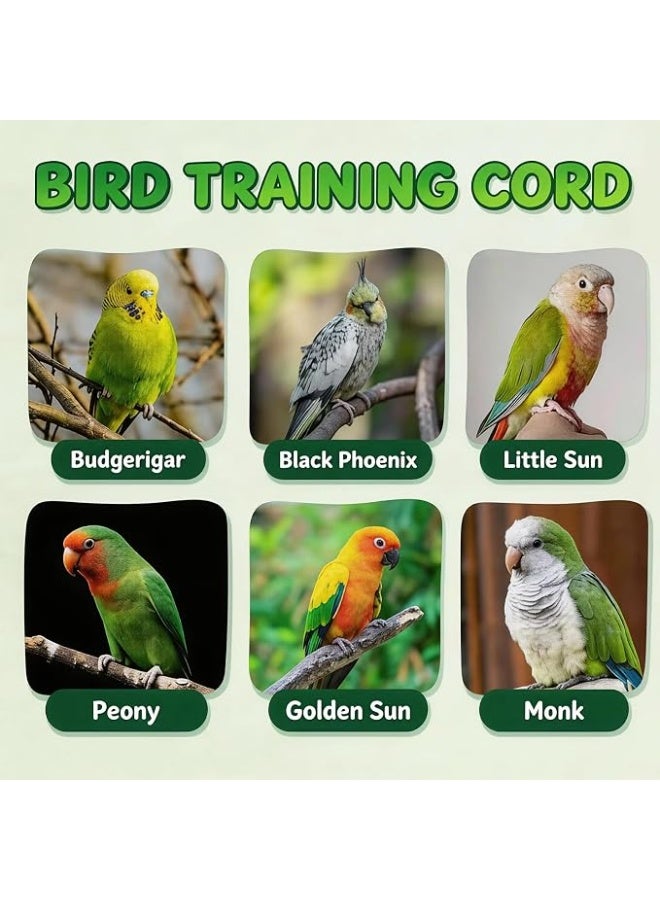 Bird Training Leash, Adjustable Parrot Flying Strap Rope Universal Flying Traction Lead Durable Outing Gadget Outdoor Training Toy for Birds, Parrot, Cockatiel, Parakeet, Lory, 3m elastic flying rope No. 6 foot ring(Pink) - Image 5