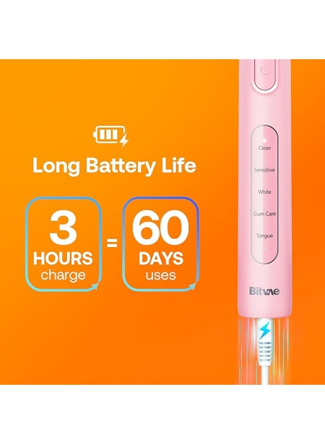 Bitvae R1 Rotary Electric Rechargeable Toothbrush with 5 Cleaning Modes and Fast USB Charging for Deep Clean and Whiten Teeth - Image 2