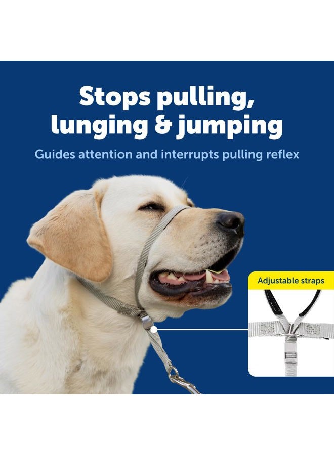 PetSafe Gentle Leader Headcollar, No-Pull Dog Collar – Perfect for Leash & Harness Training – Stops Pets from Pulling and Choking on Walks – Large, Deep Purple - Image 3