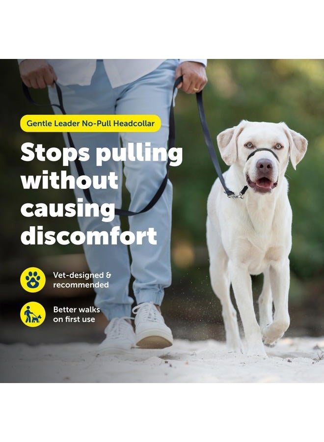 PetSafe Gentle Leader Headcollar, No-Pull Dog Collar – Perfect for Leash & Harness Training – Stops Pets from Pulling and Choking on Walks – Large, Deep Purple - Image 2