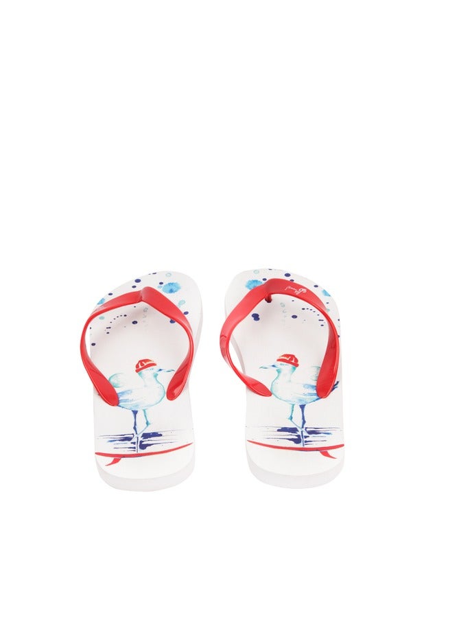 بيج ديزاين شبشب بيج ديزاين أنيموس سيلور سيجول مقاس 38-39 - Image 3