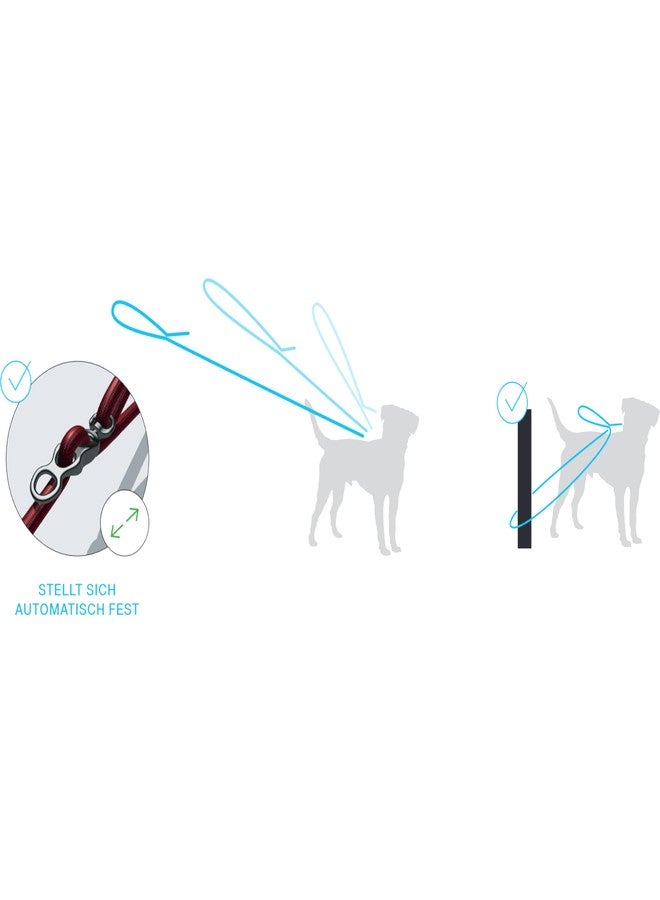 Curli Vario Comfort Leash Light Tan L - Image 3