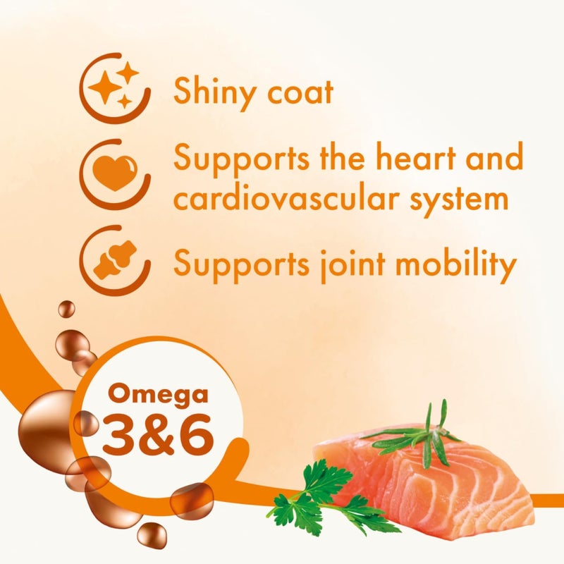 Beaphar Salmon Oil for Dogs and Cats - Omega 3 & 6 Supplement for Energy and Vitality - Image 2