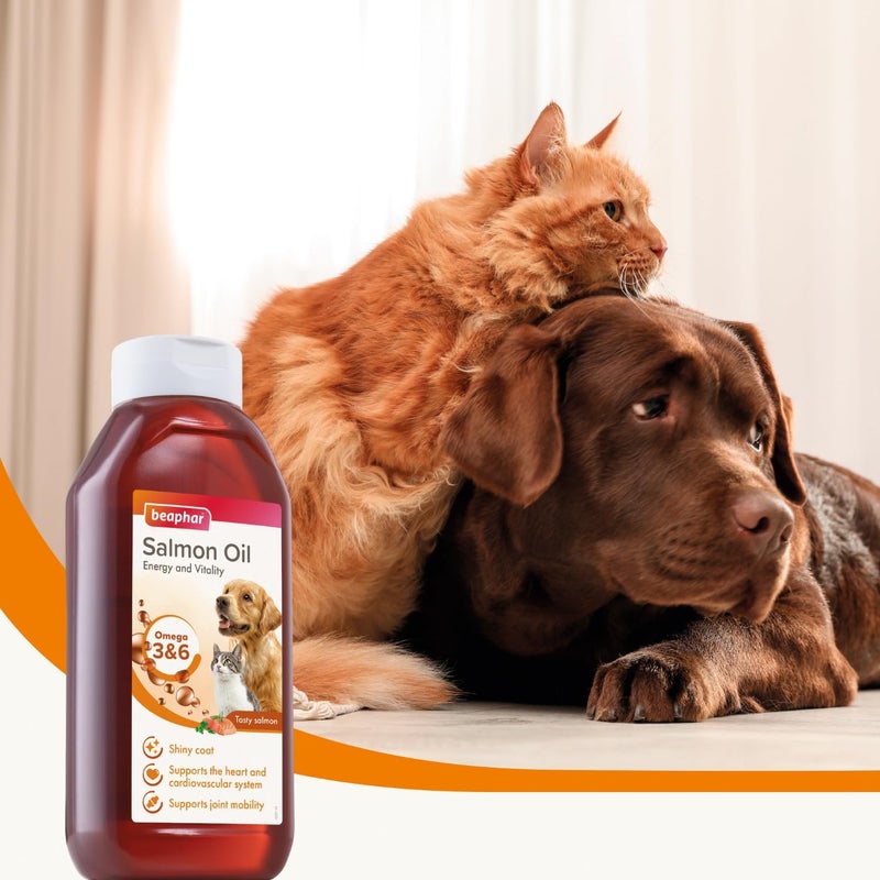Beaphar Salmon Oil for Dogs and Cats - Omega 3 & 6 Supplement for Energy and Vitality - Image 4