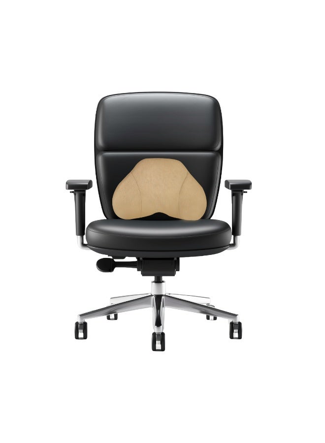 3XR Beige 46x31cm Memory Foam Lumbar Support Pillow/Back Cushion. Contoured Ergonomic Design for Office Chair, Car Seat & Home Use. Supports Spine, Relieves Lower Back Pain. Easy-Care Washable Cover for Posture Correction. - Image 2